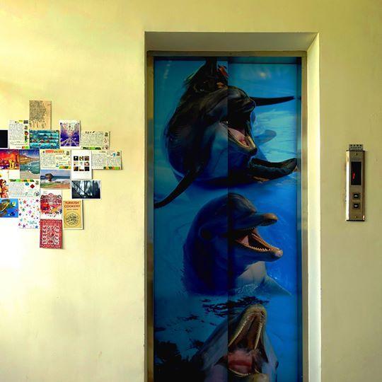 Dolphin Castle Bed & Breakfast Đông Cảng Ngoại thất bức ảnh
