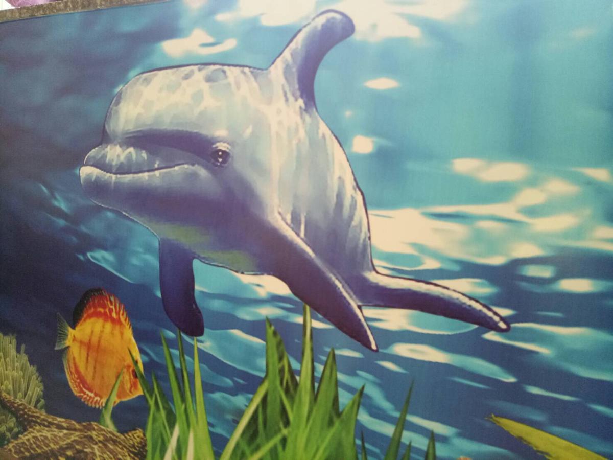 Dolphin Castle Bed & Breakfast Đông Cảng Ngoại thất bức ảnh